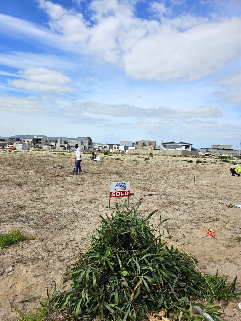 House 2 in progress, cleared out land